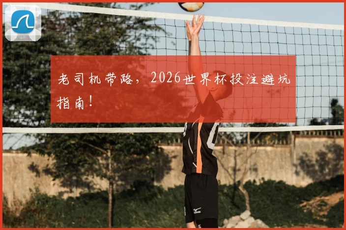 老司机带路，2026世界杯投注避坑指南！