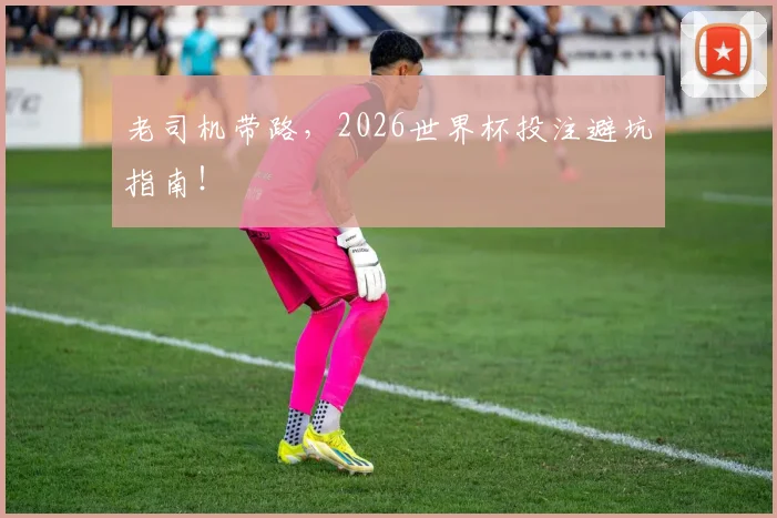 老司机带路，2026世界杯投注避坑指南！