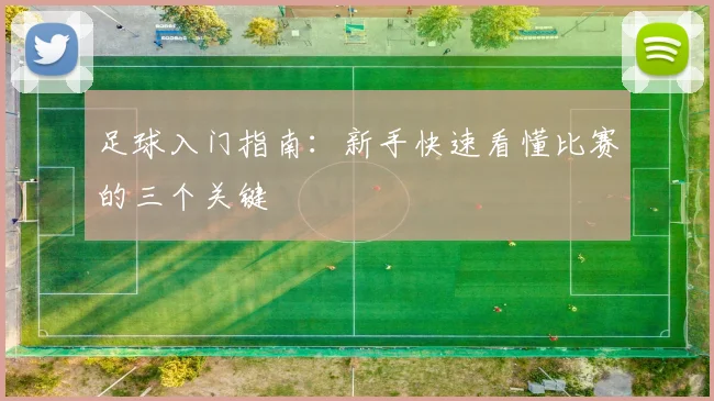 足球入门指南：新手快速看懂比赛的三个关键